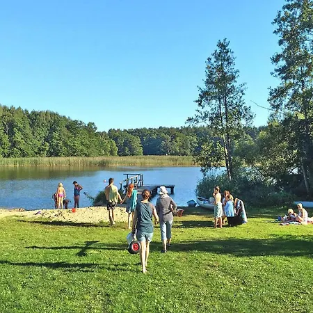 Seeadler Am Vilzsee In Mirow