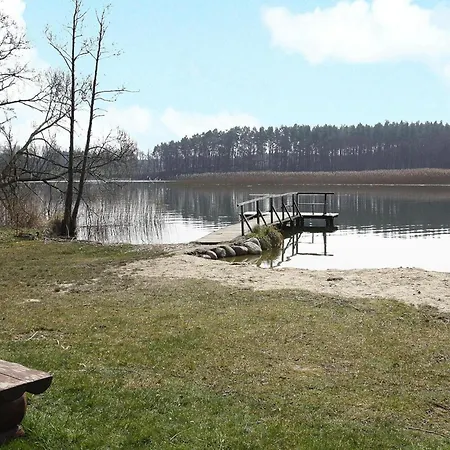 Seeadler Am Vilzsee In *