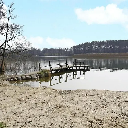 Seeadler Am Vilzsee In Mirow