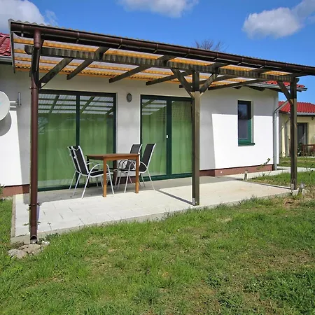 Seeadler Am Vilzsee In * Mirow