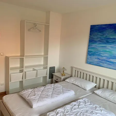 Seeadler Am Vilzsee In Mirow