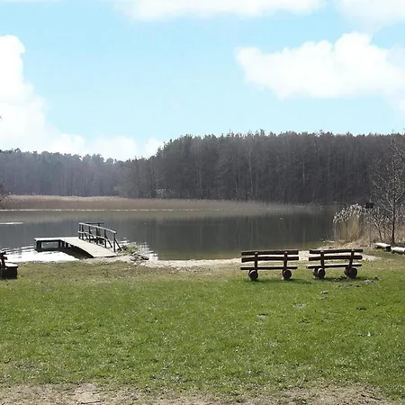 Seeadler Am Vilzsee In