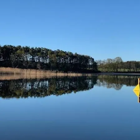 Seeadler Am Vilzsee In