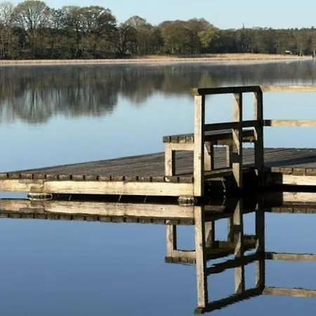 Seeadler Am Vilzsee In * Mirow