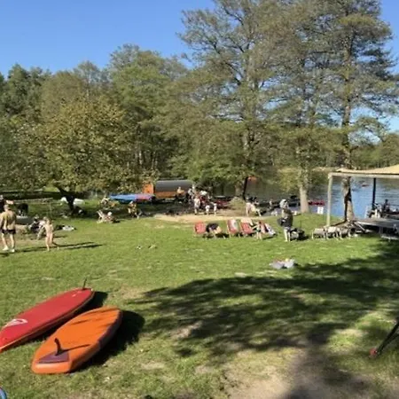 Seeadler Am Vilzsee In Mirow