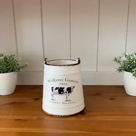 Seeadler Am Vilzsee In Mirow