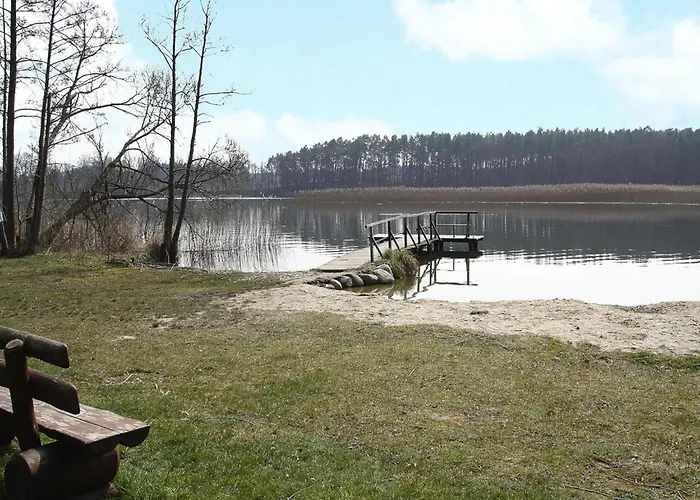 Seeadler Am Vilzsee In *