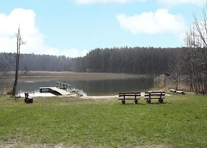 Seeadler Am Vilzsee In
